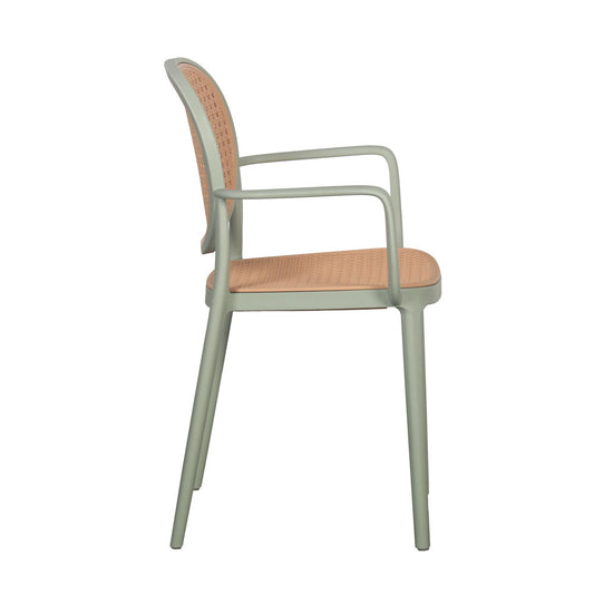 RATTI/P ΚΑΡΕΚΛΑ ΜΕΝΤΑ ΦΥΣΙΚΟ 57x51x84